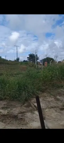 Vendo terreno povoado Olga benario Santo Amaro das Brotas