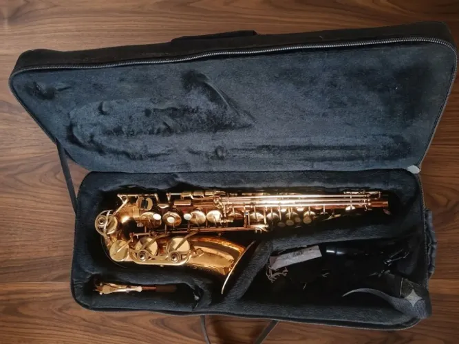 Sax Alto Shelter SGFT6430L - Sem Amassados (Parcelo no Cartão / Aceito Viola Clássica)
