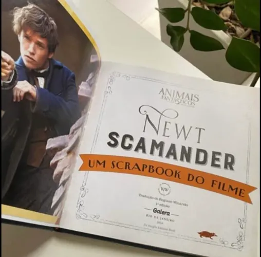 Animais Fantásticos e Onde Habitam: um Scrapbook do Filme
