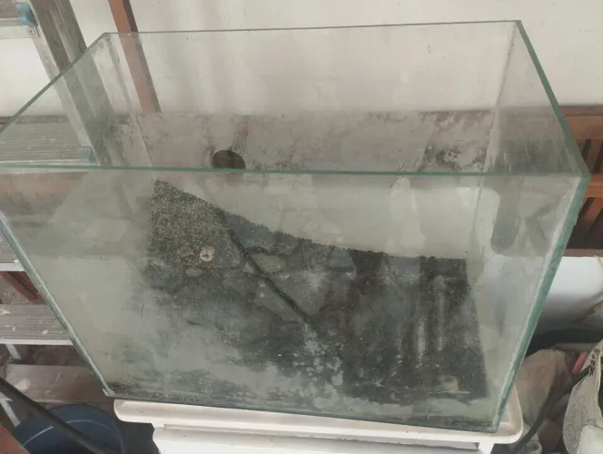 Aquario de 37 litros 44x35x26