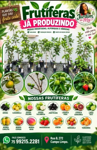 FRUTÍFERAS