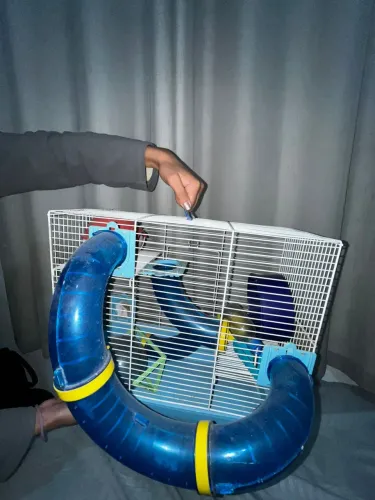 Gaiola para hamster (acompanha acessórios!)