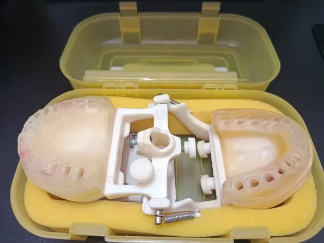 Vendo Manequim ProNew usado, sem os dentes. Brinde: dentes para escultura em cera