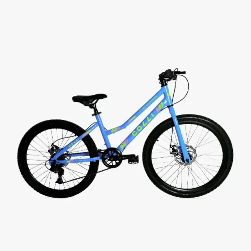 Bicicleta aro 24