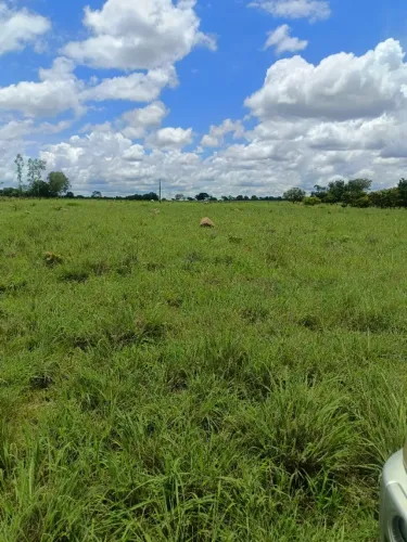 Vendo uma chácara em Divinópolis-To. três alqueires e meio toda formada só 12 km da cidade