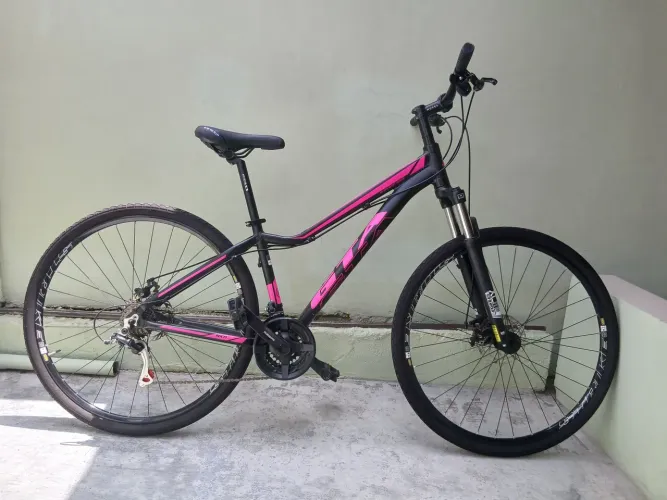Bicicleta 29