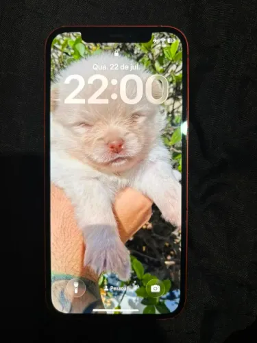 iPhone 12