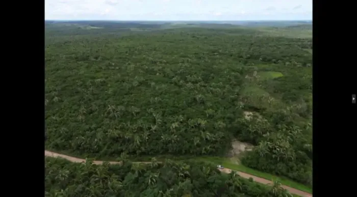 Fazenda a venda fica tudo ate os cazeiros em chapadinha