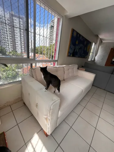 Lindo sofá de 2 lugares em linho OFF-WHITE