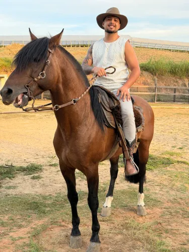 Cavalo criolo cuiudo comprado em leilão 