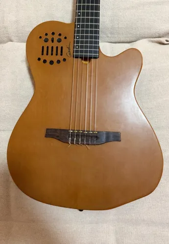Violão godin