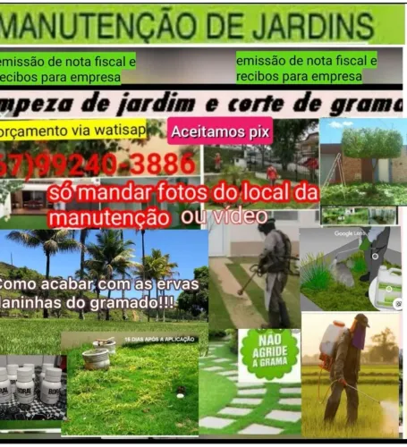 poda de grama ,controle de mato erbecida.