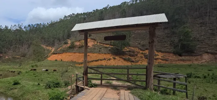 Lotes 3.000m2, INVESTIMENTO INTELIGENTE: TERRA + EUCALIPTO = PATRIMÔNIO EM CRESCIMENTO <br>