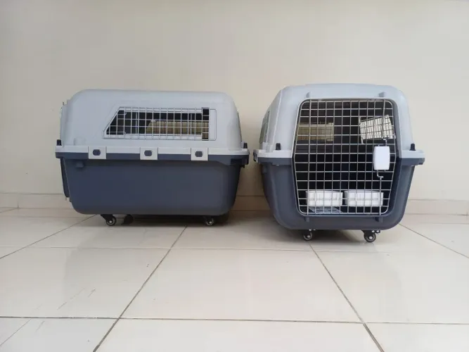 Caixa de transporte aereo padrão IATA para animais PETs 70x53x48 cm 