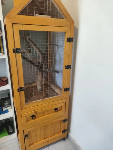 Viveiro para aves