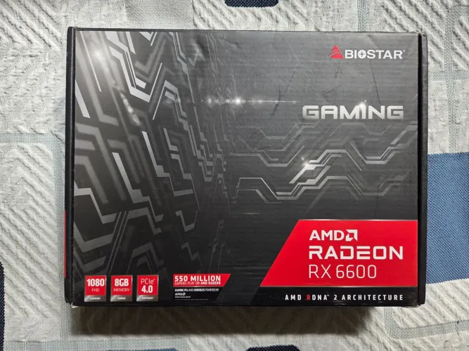 Placa de Vídeo AMD Biostar RX6600 8GB