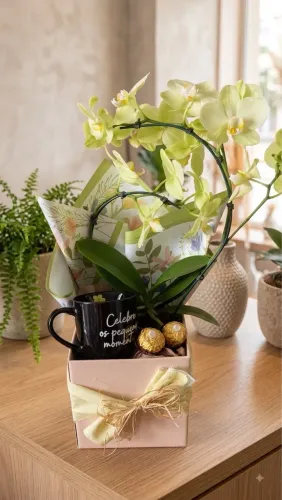 Cesta de presente - Orquídea