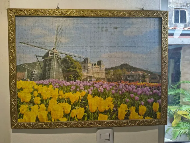 Quadro: Tulipas no Japão