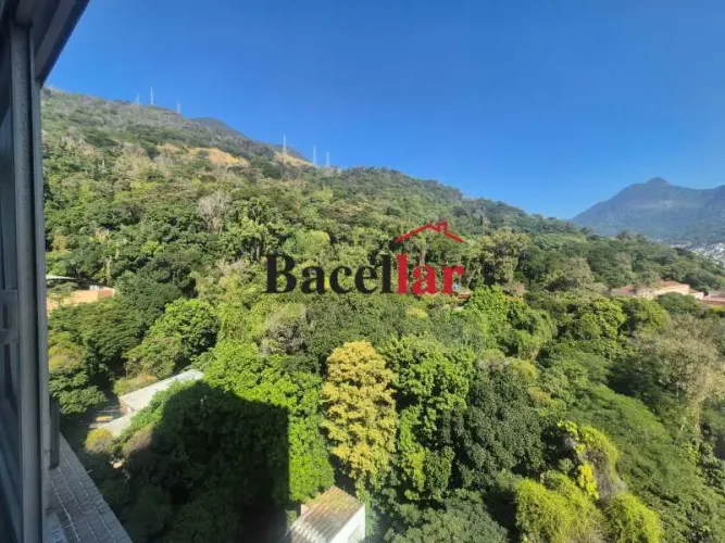 Apartamento : Padrão / Residencial / Tijuca