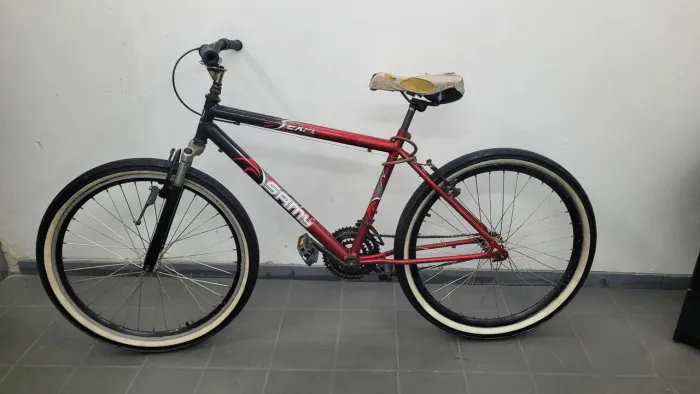 Bicicleta