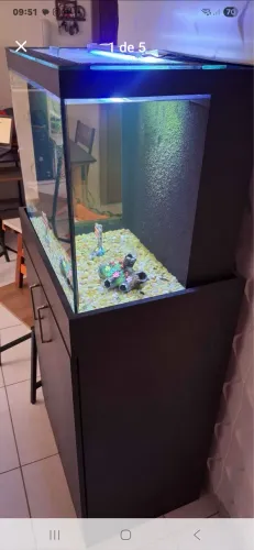 Aquário 1000 litros