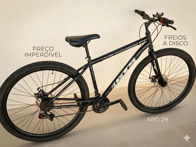 Bicicleta aro 29