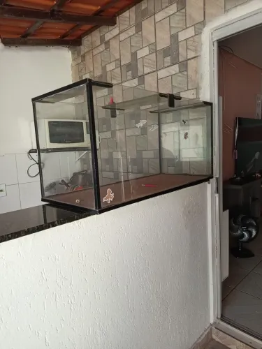 Aquário 
