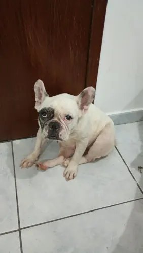 Doação responsável