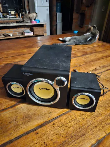 Vendo caixa de som BOMBER. 