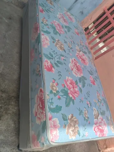 Cama