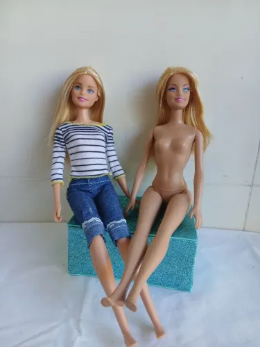 Lote boneca barbie
