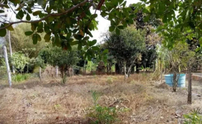 Vende-se terreno 444 m em Porto Estrela Mato Grosso