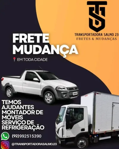Frete caminhão bau mudança embalada na promoção 