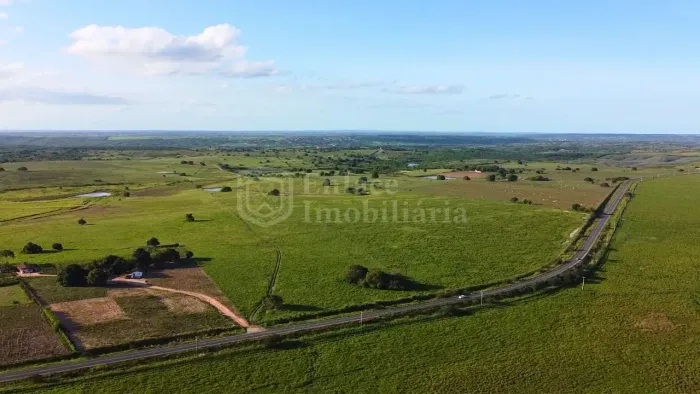 Vendo Fazenda de 54 HA às margens da PB-082 | Toda plana e a 1 hora de João Pessoa-PB