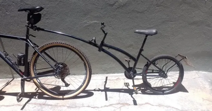 Reboque de Bicicleta Infantil
