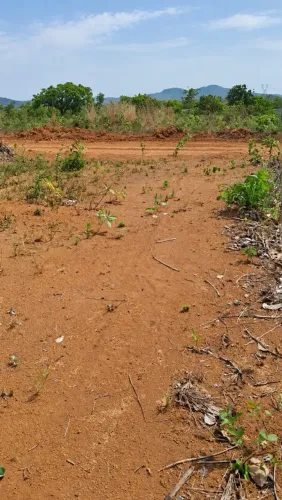 Amplo terreno de 360 mt2 em Taboquinha Pe Bernardo