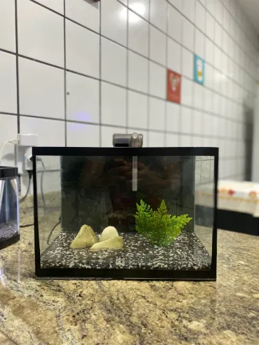 AQUARIO 16 LITROS COMO ESTÁ NA FOTO