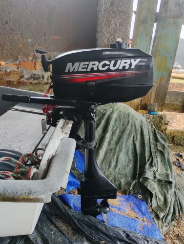 Motor Mercury 3.3