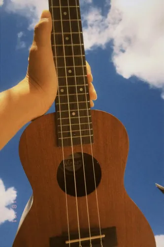 Ukulele Winner 