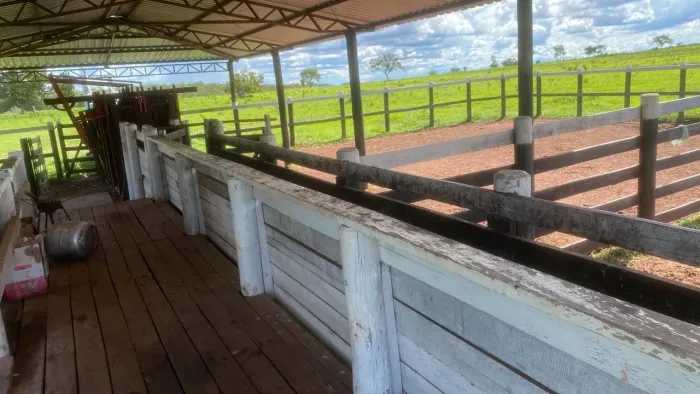 Linda fazenda