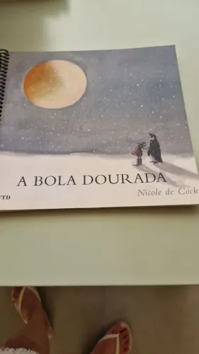 livro a bola dourado de nicole de cock