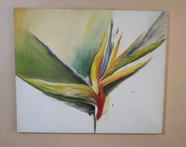 Tela pintada