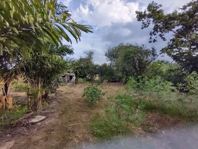 Terreno para Venda em Joinville, Centro (Pirabeiraba)