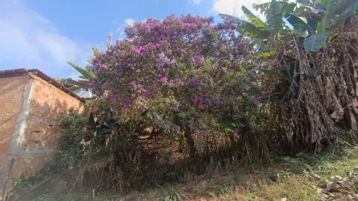 LOTE À VENDA NO BAIRRO CANARINHO  EXCELENTE OPORTUNIDADE! Lote de 360 m² por apenas R$ 90.