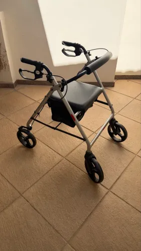 Andador de rodas