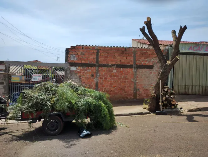 Jardinagem e podas