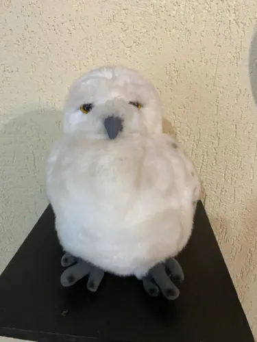 Coruja de pelúcia Harry Potter
