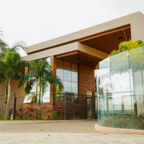 BANANEIRAS!!! PREÇO INACREDITÁVEL 