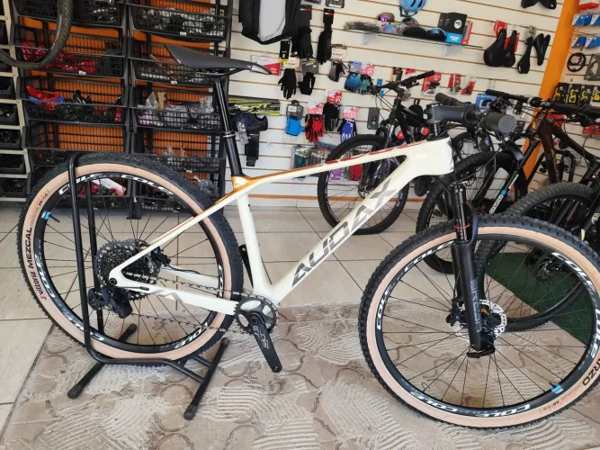 Bicicleta Audax Auge 800 