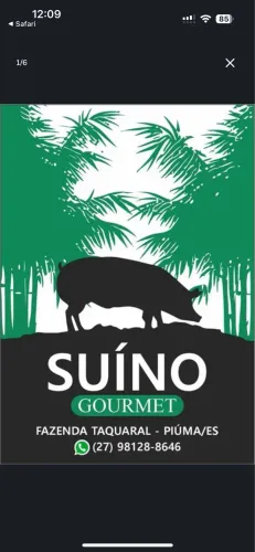 Porco / leitão/ suíno